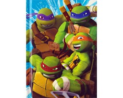 Diario Turtles - Edizione Pocket Diario Turtles - Edizione Pocket